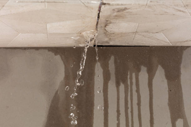 Professional Flood Damage Cleanup technician working in Decatur, MI